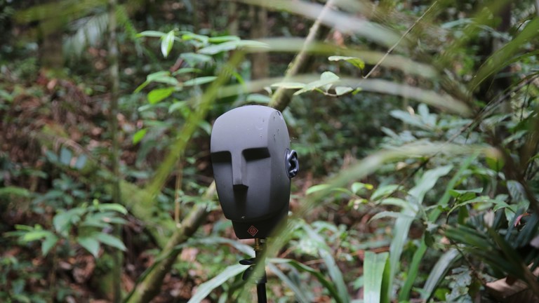 On The Encounter // Director's Note