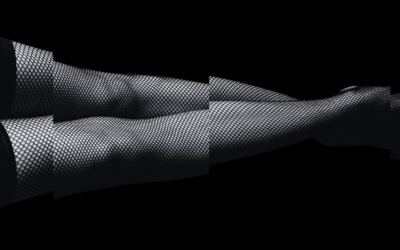 Poems of a Transsexual Nature