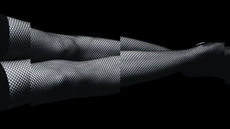 Poems of a Transsexual Nature