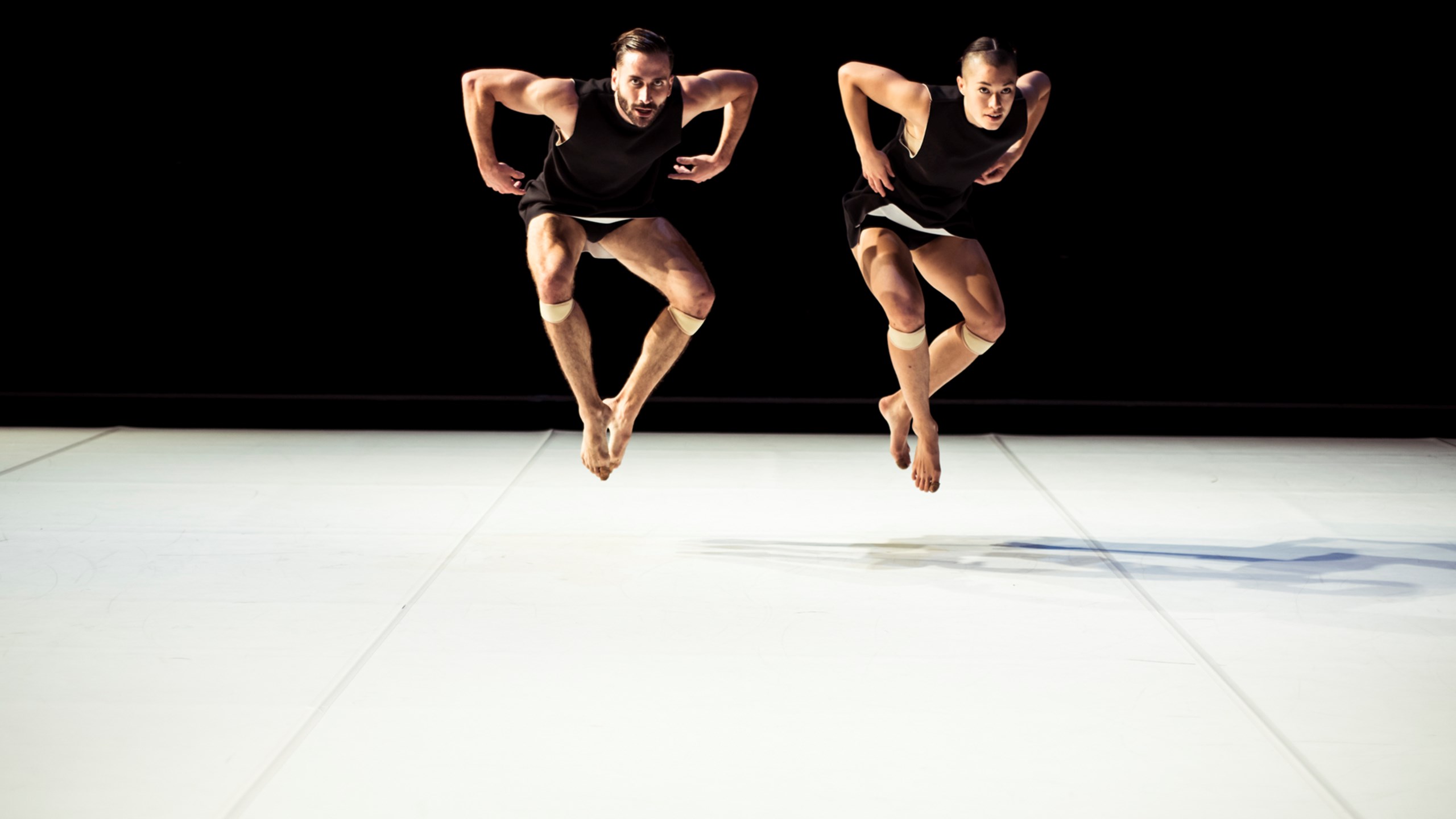 Common Ground (2019), Photographer: Pippa Samaya